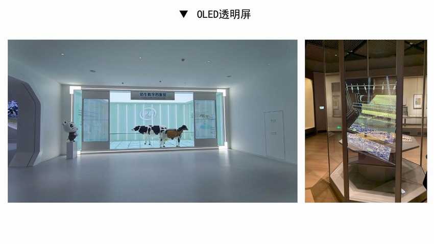 OLED透明屏1.jpg